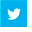 Twitter Logo