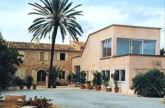 Finca Palmera